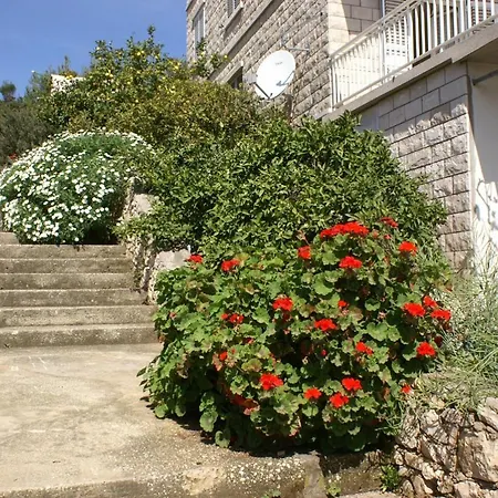 Apartment By The Sea - Korcula - 4440 *
