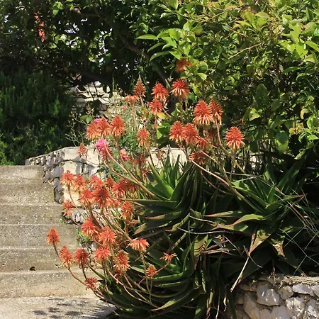 By The Sea Lumbarda, Korcula - 4440 *