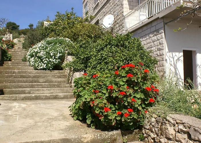 Apartment By The Sea - Korcula - 4440 *