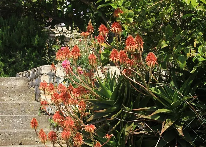 By The Sea Lumbarda, Korcula - 4440 *